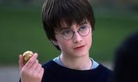 British actor blows Harry Potter role chance despite 'nepo dad' efforts