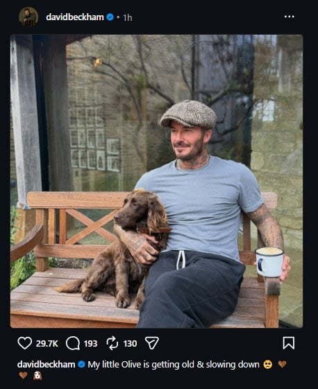 David Beckham shares heartfelt update as beloved companion gets old