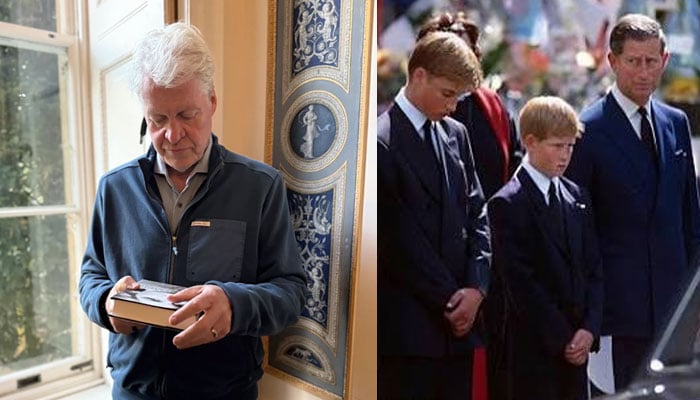 Why Charles ‘made’ Prince William, Harry walk with Diana’s coffin: ‘He feared the public’