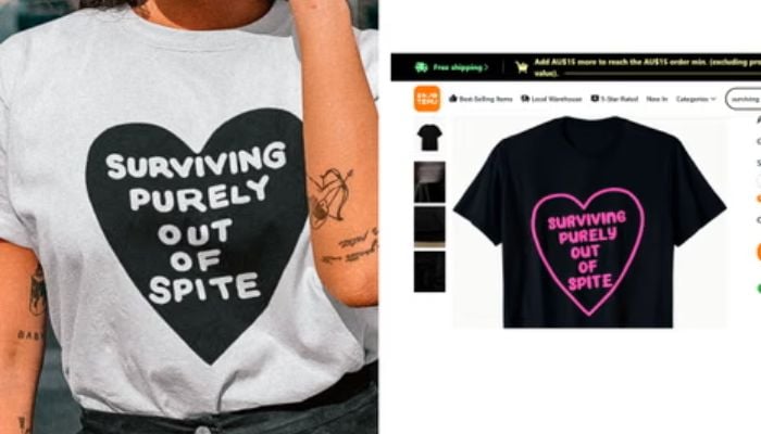 How AI scraping left this designers entire catalogue copied