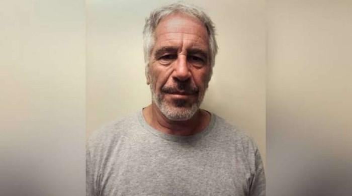Academic admits using fake Jeffrey Epstein fund letter to claim $750,000 settlement
