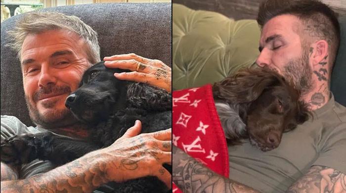 David Beckham shares heartfelt update as beloved companion 'gets old' 