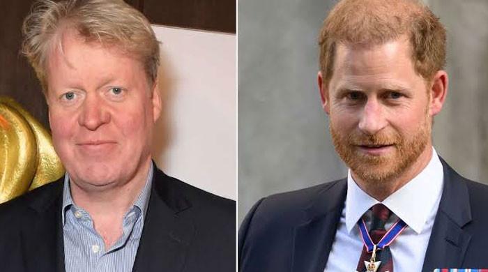 Princess Diana brother 'conspiring' with Prince Harry to destroy British royal family