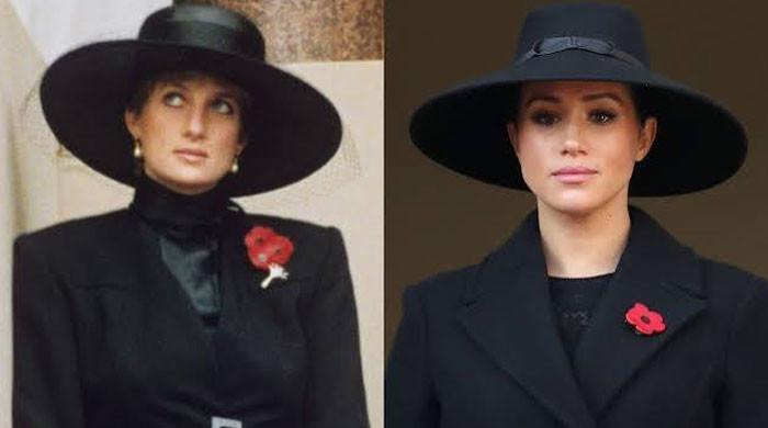 Meghan Markle's true feelings on Princess Diana brother claims revealed