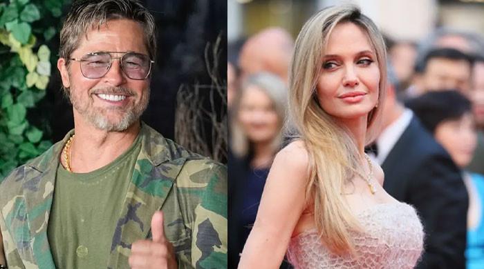 Brad Pitt says life is 'better with a dog' as legal feud with ex Angelina Jolie drags on