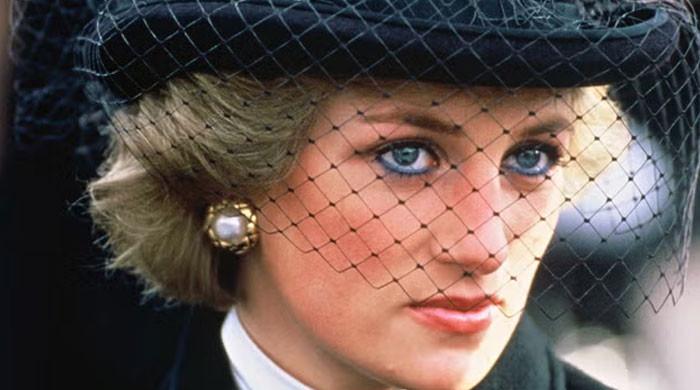 Princess Diana's 'revenge dress' put on display amid Earl Spencer, King Charles war of words
