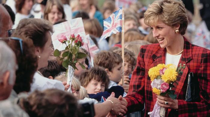 Princess Diana popularity ‘deeply resented’ by royal family
