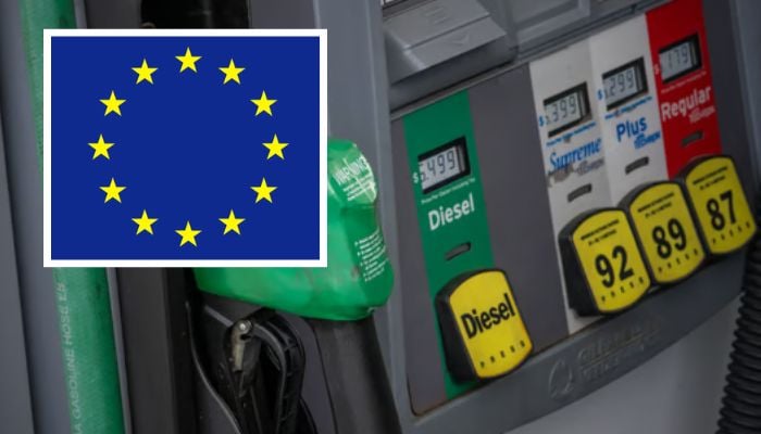 Europes gas price surge will feed further inflation amid energy crisis, ECB warns