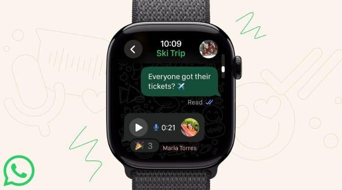 WhatsApp adds 8 emoji categories on Apple Watch