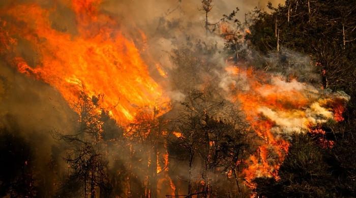Record-breaking super El Niño could trigger extreme weather around the world