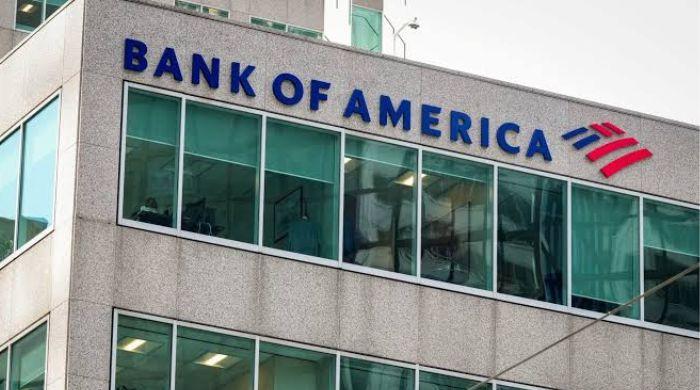 Banks raise red flags over AI shopping bots and scam risks: What to know