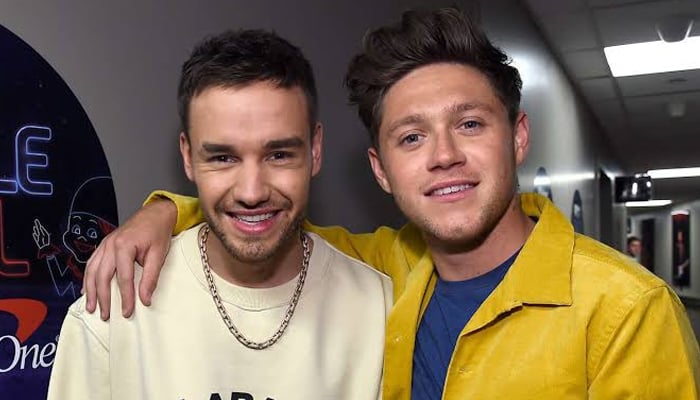 Niall Horan pays sweet tribute to late pal Liam Payne at latest concert