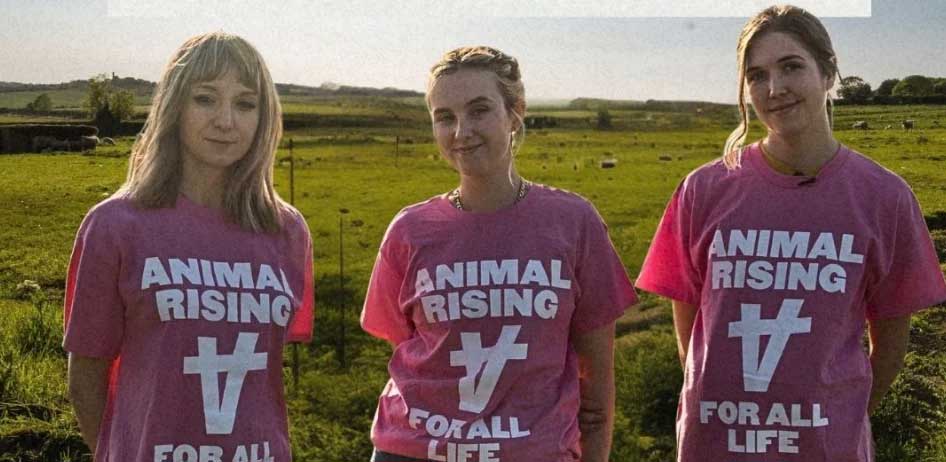 King Charles estate lamb theft: Activists found guilty
