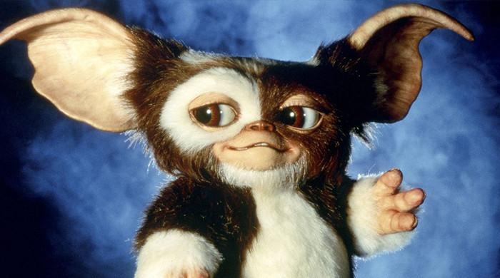 ‘Gremlins 3’ suffers setback as release date gets disappointing news