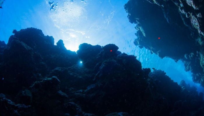 Earth is splitting apart beneath the Pacific Northwest: Here’s why