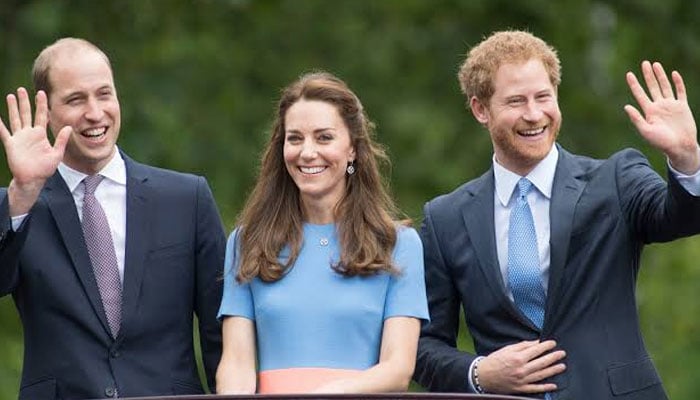 Prince William pushed King Charles to clarify Prince Harry and Meghan’s status