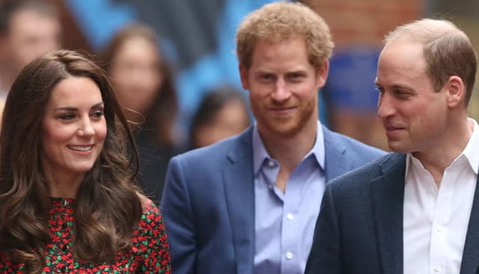 Kate Middletons role in brothers rift very little?