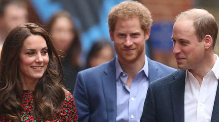 Kate Middleton's role in brothers' rift very little?