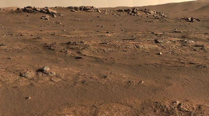 Scientists may have found a way to grow food on Mars