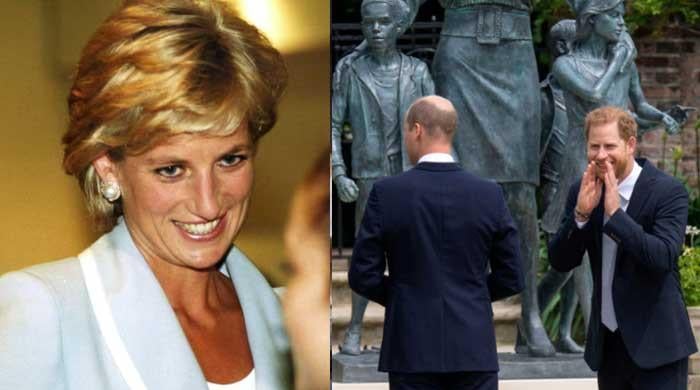 Diana insisted Prince William and Harry knew Charles loved her, says expert 