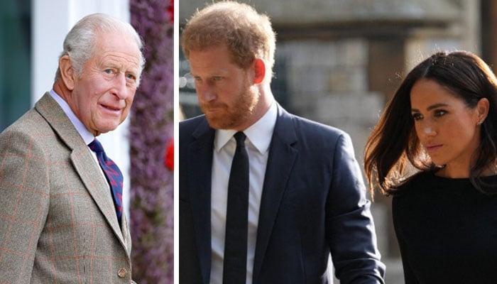 Why did King Charles brand Prince Harry, Meghan Markle ‘private citizens’: Expert weighs in