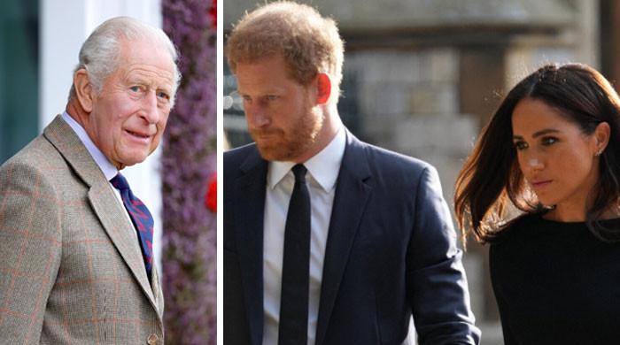Why did King Charles brand Prince Harry, Meghan Markle ‘private citizens’: Expert weighs in