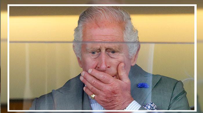 King Charles’ wasn’t giddy’: Source exposes monarch’s actual fears for Diana, Camilla