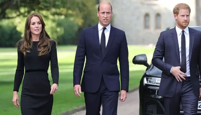 Prince Williams anger toward Harry could draw them deeper into what the source described as an ugly mess.