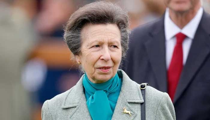 Princess Anne says she will stick to horses after declining invitation to run for charities