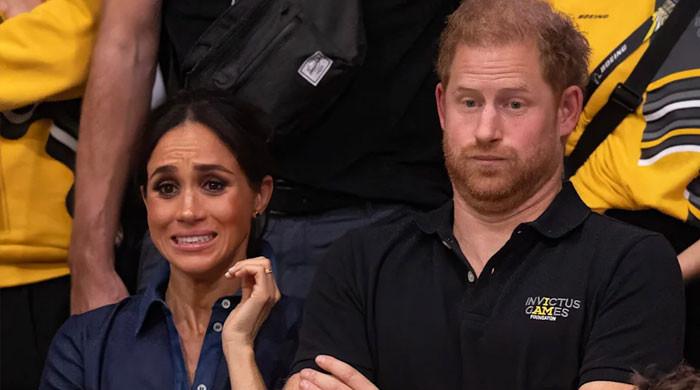 ‘Deceitful’ Prince Harry, Meghan Markle fall onto the chopping board for Charles Spencer
