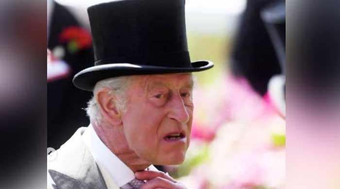 Plea seeking action against King Charles III dismissed