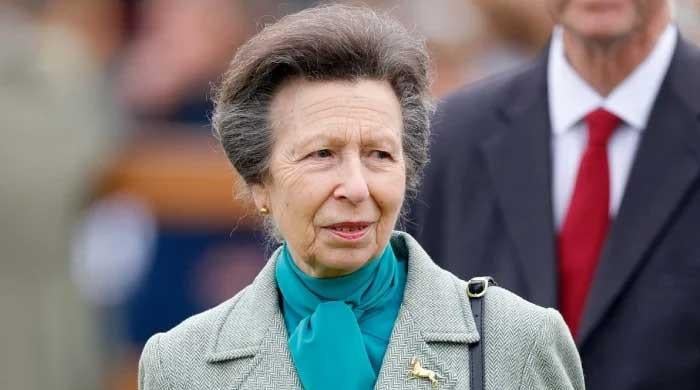 Princess Anne says she will stick to horses after declining invitation to run for charities
