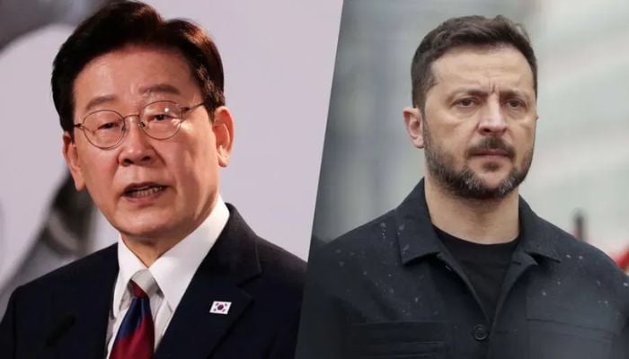 South Korea reveals why Zelenskyy disclosed secret POW transfer