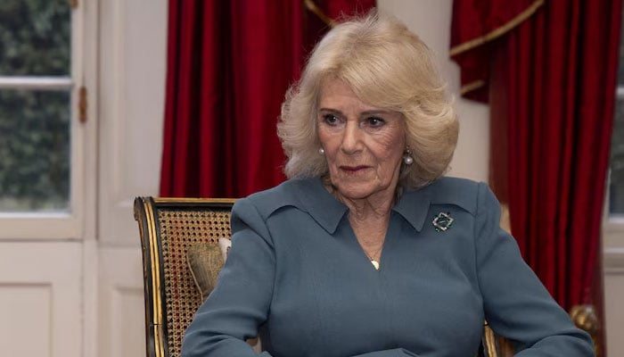 Queen Camilla’s behaviour ‘left to speak for itself’: ‘She’s sickened to the core’