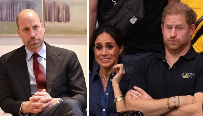 ‘It’s all so devious’ Prince William fears Harry’s ‘delighting in the misery & stress’ to a cancer patient