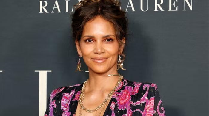 Restraining order sought against Halle Berry