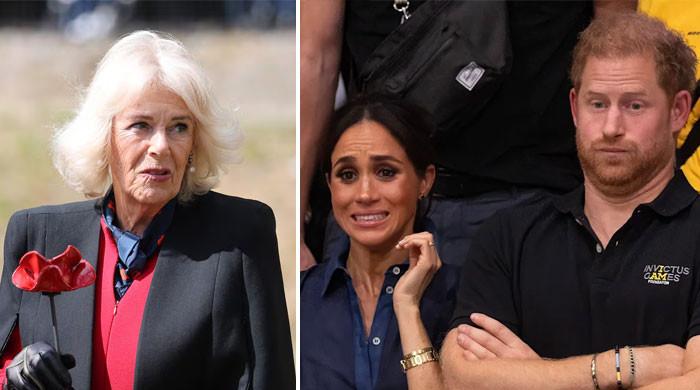 ‘Absolutely livid’ Queen Camilla zeros her anger in on Harry, Meghan