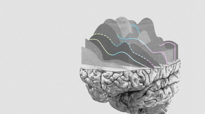 Neuralink brain implant trials reach 50,000 hours: What to know