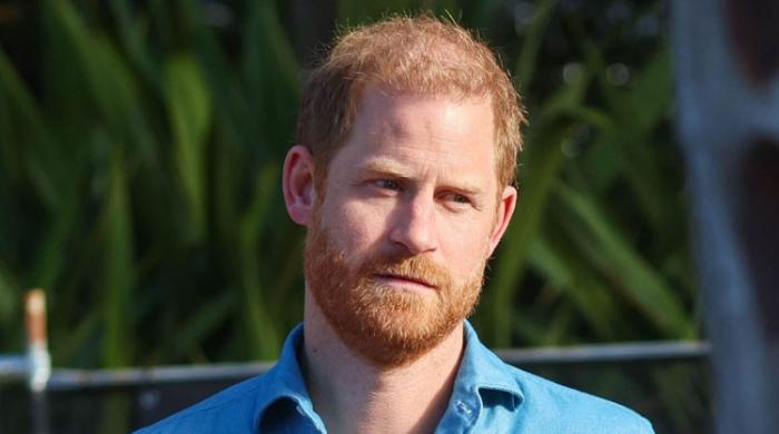 Prince Harry’s career ‘ends’: ‘He has no career as such’