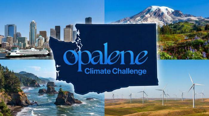 6 climate tech startups win funding as AI draws investors