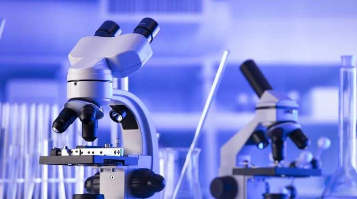 Russia investigates ‘unknown’ infection after plague lab researcher dies