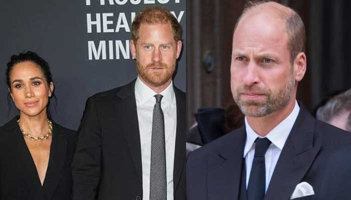 Harry, Meghan warned as Prince William prepares brutal move