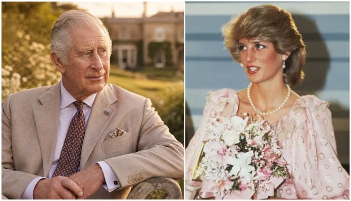 Would Diana have liked exposing Charles? Old conversation with Princess leak