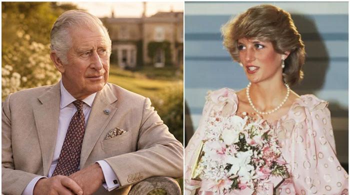 Would Diana have liked exposing Charles? Old conversation with Princess leak