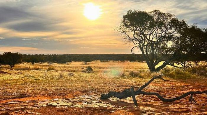 Australia bracing for hazardous summer amid ‘super El Niño’, Albanese says