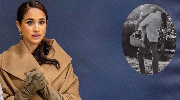 ‘People are not stupid’ Meghan Markle! ‘None of this makes any sense’