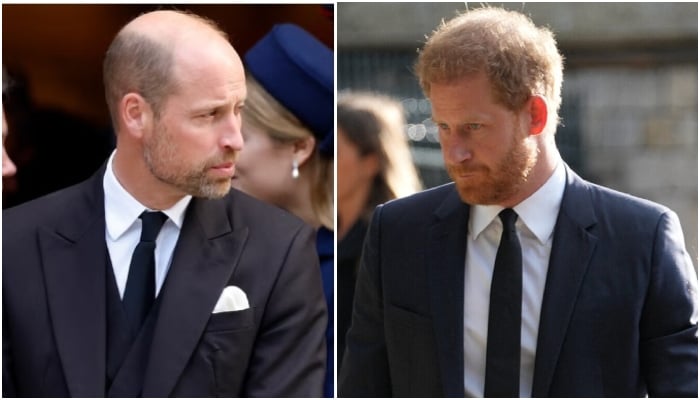 ‘Agonised’ Prince William, Kate Middleton implode on Harry: ‘Its going to drive them further apart’
