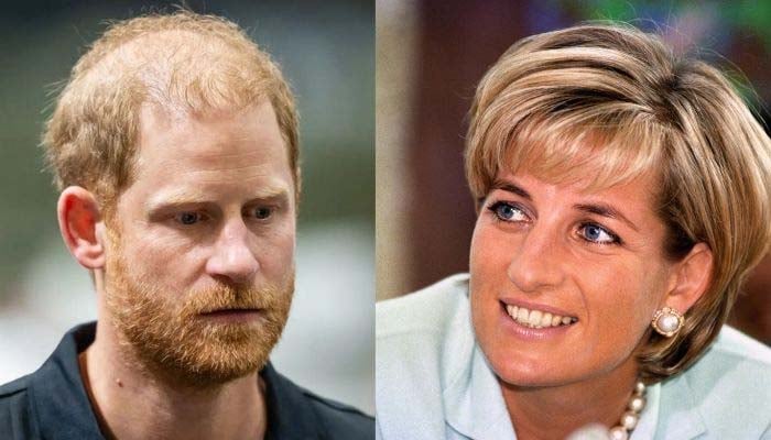Youre not crazy Prince Harry gets reassurance over Diana grief
