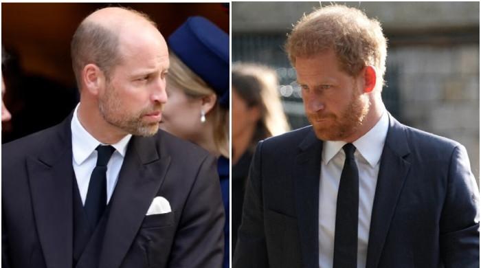 ‘Agonised’ Prince William, Kate Middleton implode on Harry: ‘It's going to drive them further apart’