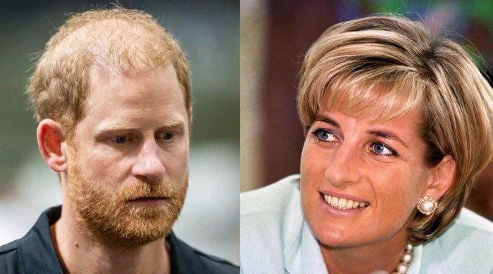 'You're not crazy' Prince Harry gets reassurance over Diana grief
